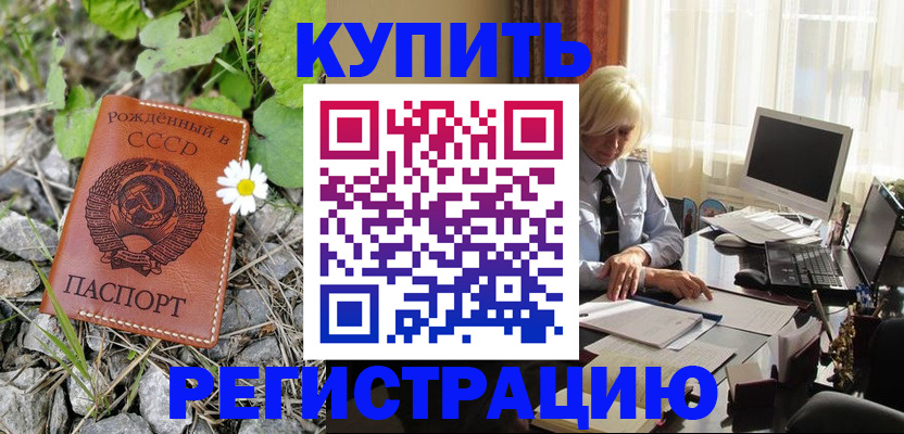 временная регистрация недорого в Чкаловске